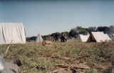 Battlefield encampment
